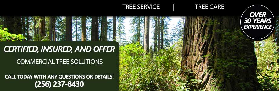 Tree Service Calhoun County AL